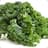 Kale