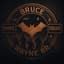 Bruce Wayne BR