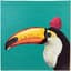 LoFi Toucan