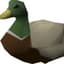 TheGamingDuck