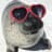 Seal Enthusiast