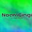 noamgingi