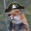 [Pirate] Fox