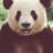 pandaman