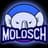 Molosch