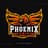 PhoenixGamingYT