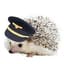 Cpt. C. Hedgehog
