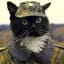 ПОЛКОВНИК КОТИК