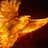 PhoenixTheOne