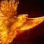 PhoenixTheOne