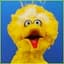Braadkip [NL] Aka Big Bird