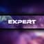 Expert