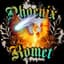 PhoenixKomet