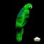 Greenparrotrice