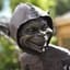 Goblin for Hire
