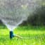 Lawn Sprinkler