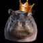 Hippo King