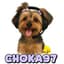 Choka97